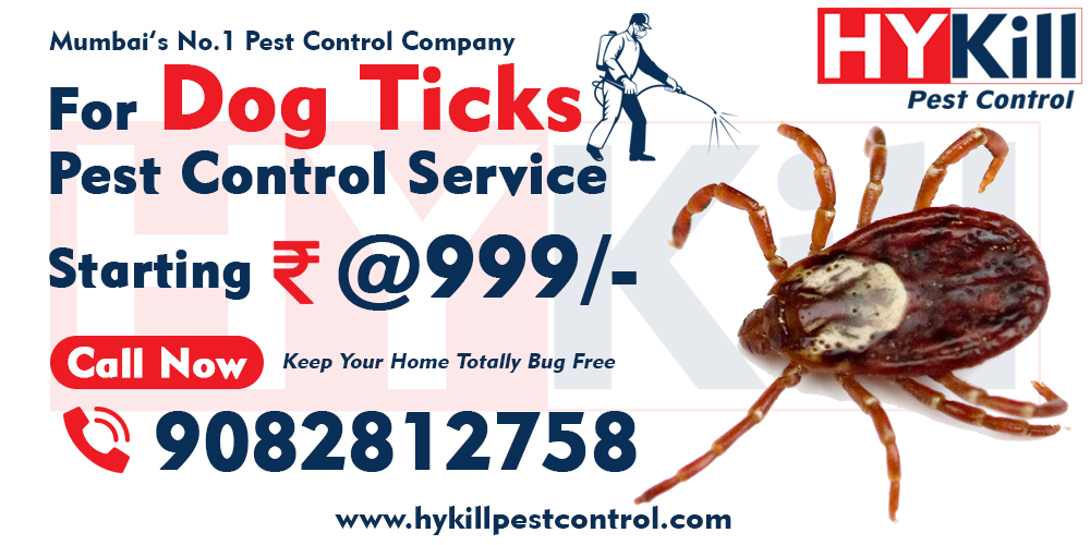 Dog Ticks Pest Control
